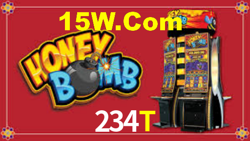 234t.com